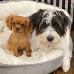 Tammy McDoniel Berkowitz - @mcdonielberkowitz - Instagram