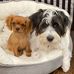 Tammy McDoniel Berkowitz - Facebook