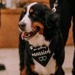 Tammy - @tammy_the_berner - Instagram