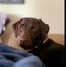 Tammy Bertram - Facebook