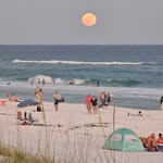 Tammy Shanks-Bevis - @bevis2007 - Instagram