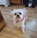 Tammy Bickel - Facebook