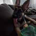 Tammy Bickel - Facebook
