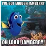 Tammy Bierly - @tammybierly - Instagram