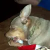 tammybiggers - @tammybiggers - TikTok