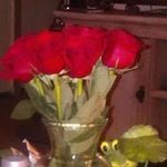 Tammy Biggs - @tbiggs1963 - Instagram