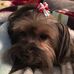 Tammy Bill - Facebook