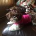 Tammy Bill - Facebook