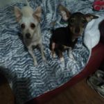 Tammy Billy - @tammy.billy.56 - Instagram