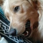 Tammy-Billy Hood - @tammybillyhood - Instagram