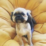 Tammy - @tammybilotta1 - Instagram