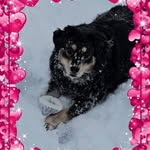 Tammy Bittner - @bittnertammy - Instagram