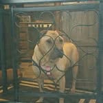 Tammy Bliss Lottman - @tammylottman - Instagram