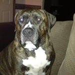 Tammie Blodgett - @hotpartymama - Instagram