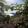 Tammy Blodgett - @user340320018 - TikTok