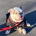 Tammy Blodgett Huff - Facebook