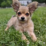 Tammy Lynn Blodgett Holub - @tammylynnholub - Instagram