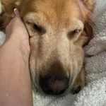 Tammy Blunt Davidson - @oliviaoscardavidson - Instagram