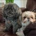 Tammy Beck Bly - Facebook