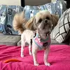 tammyblyhines - @tammyblyhines - TikTok