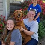 Tammy Boehmann Howard - @tammyboehmannhoward - Instagram