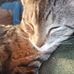Tammy Bogan - Facebook