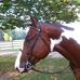 Tammy Bogan - Facebook