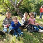 Tammy Bolduc - @dream_wolf1970 - Instagram