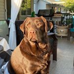Tammy Bonner-Kornelsen - @tammy_bonner_kornelsen - Instagram