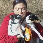 tammy harbison bonner - @tammyharbison - Instagram