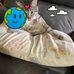 Tammy Booth - Facebook