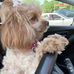 Tammy Booth - Facebook
