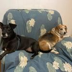 Tammy Boothe - @tmortgage1 - Instagram