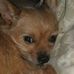 Tammy Boothe - Facebook