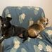 Tammy Boothe - Facebook