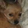 tammyboothe495 - @tammyboothe495 - TikTok