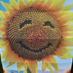 Tammy Alford Boring - @boringtammy - Instagram