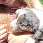 Tammy Miller - @tammy.bossert - Instagram