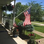Tammy Bostic - @bostic3618 - Instagram