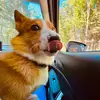 Tammy - @tammy.bouchard - TikTok