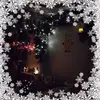 Tammy Boucher - @user7105650969972 - TikTok