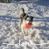 Tammy Boucher - @tamlynn1970 - TikTok