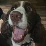 Tammy Boucher - @tammyann2907 - Instagram