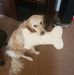 Tammy Boudreau - Facebook