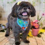 Tammy Boudreau - @tammy_boudreau - Instagram