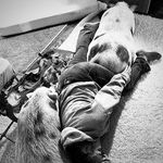 Tammy Boudreau Gregoire - @mollyskids - Instagram