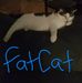 Tami Rogers Bounds - Facebook