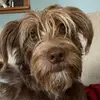 Tammy Bourgeois - @tammybourgeois0 - TikTok