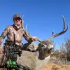 Tammy Bingham - @tammybowhunts - TikTok