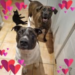 Tammy Bowdern - @tammybowdern - Instagram